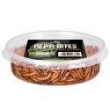 Terrario Repti Bites Mealworms 125ml - dried mealworm larvae